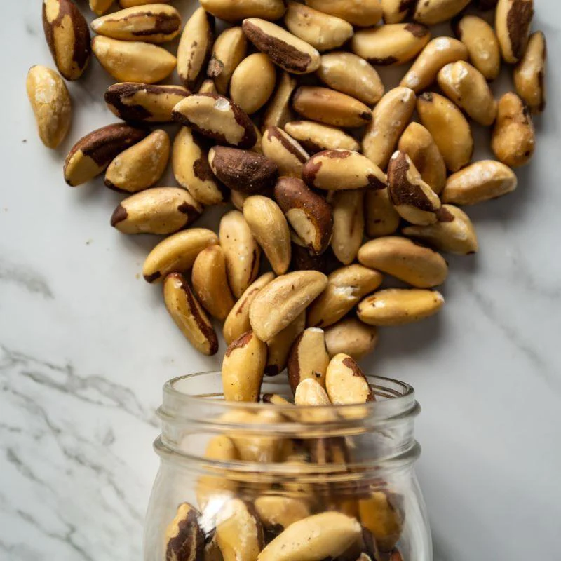 Roasted Brazil Nuts (Salted) | Brazil Nuts 