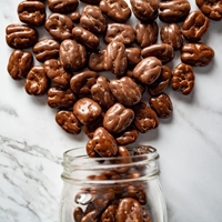 Chocolate Covered Pecans - 11 oz - 06130 